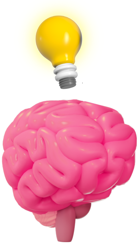 brain and bulb